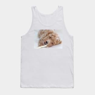 Maltipoo Puppy Tank Top